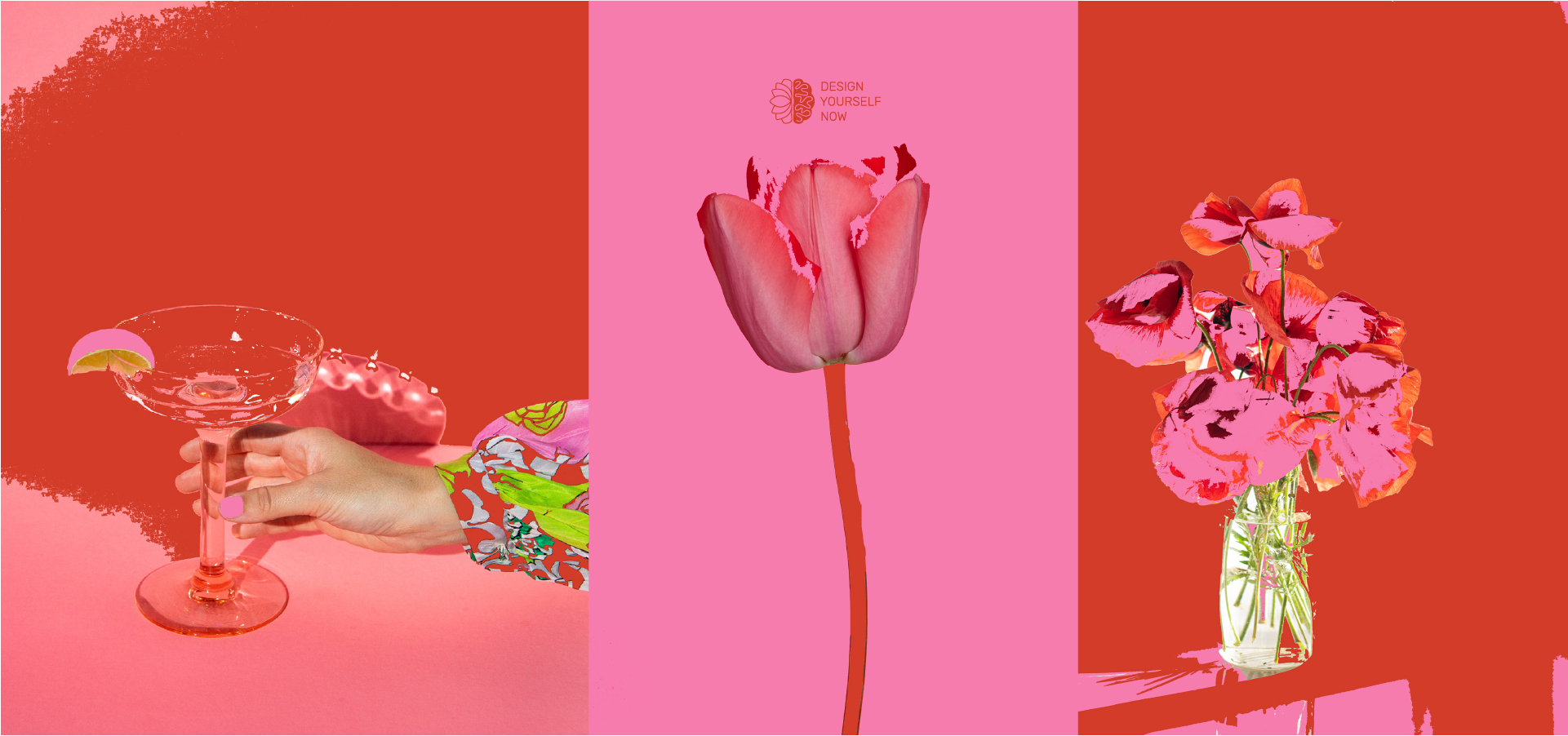 Identity branding graphic design imagery logo social media strategy