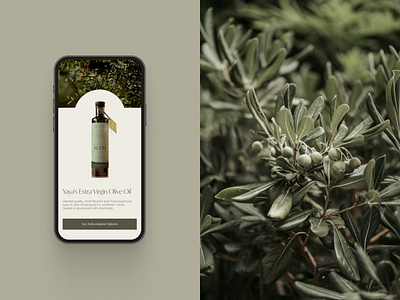 Olive Oil E-commerce Website bottle ecommerce green mobile app olive olive oil product ui ux web design
