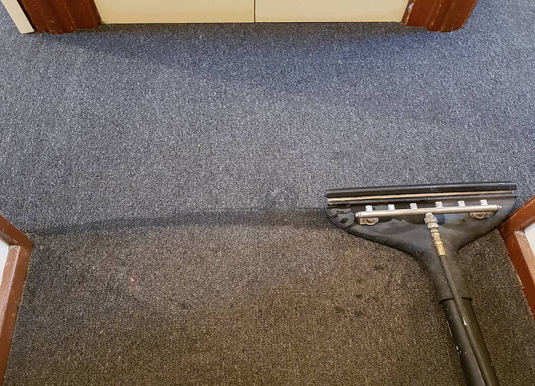 Carpet Cleaning Service Adelaide by All Bright Carpet Cleaning on Dribbble