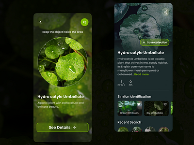 Plant Identification App - Capture, Classify, Locate: UI Design aiassisted aiplantapp appdesign daily ui challenge design florarecognition natureapp plant plantapp plantclassification plantfinderapp plantidentification ui ui design userexperience ux uxdesign