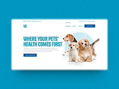 VC+ Hero Section Design animals health landing page medical pets ui ux veterinary