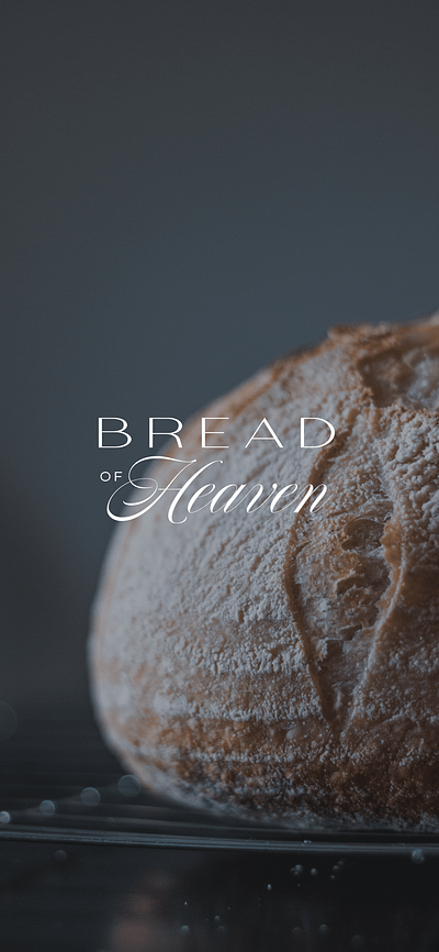 Bread bakery rebrand branding graphic design logo