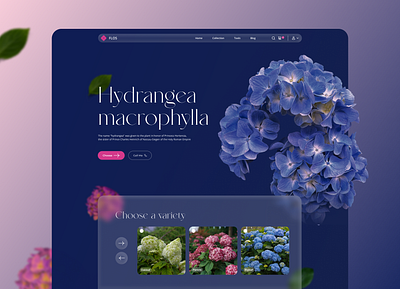Flower Hydrangea design figma flower flower hydrangea hydrangea interface plant ui website
