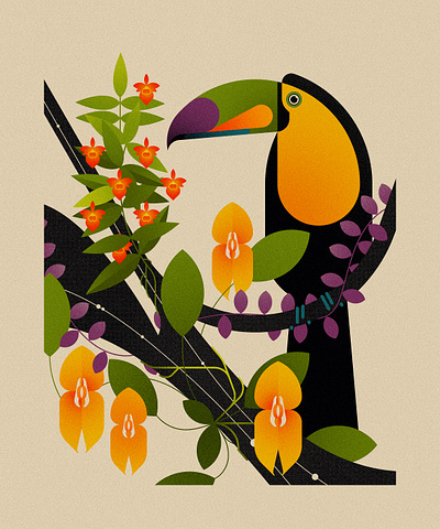Toucan and Orchids (2022) amazon birds design floral graphic design illustration minimal illustration nature orchids parrot toucan tropical vector vector illustration wildlife
