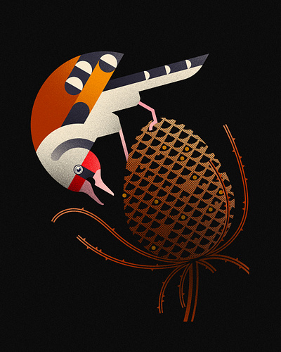 GOLDFINCH (2022) bird birds botanical illustration design floral illustration minimal illustration nature vector vector illustration wildlife