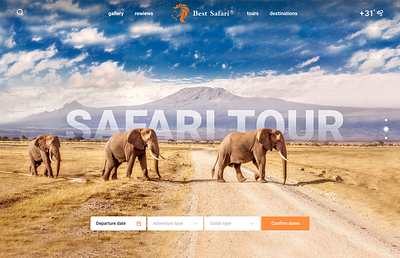 Safari tours branding landing landing page ui web web design