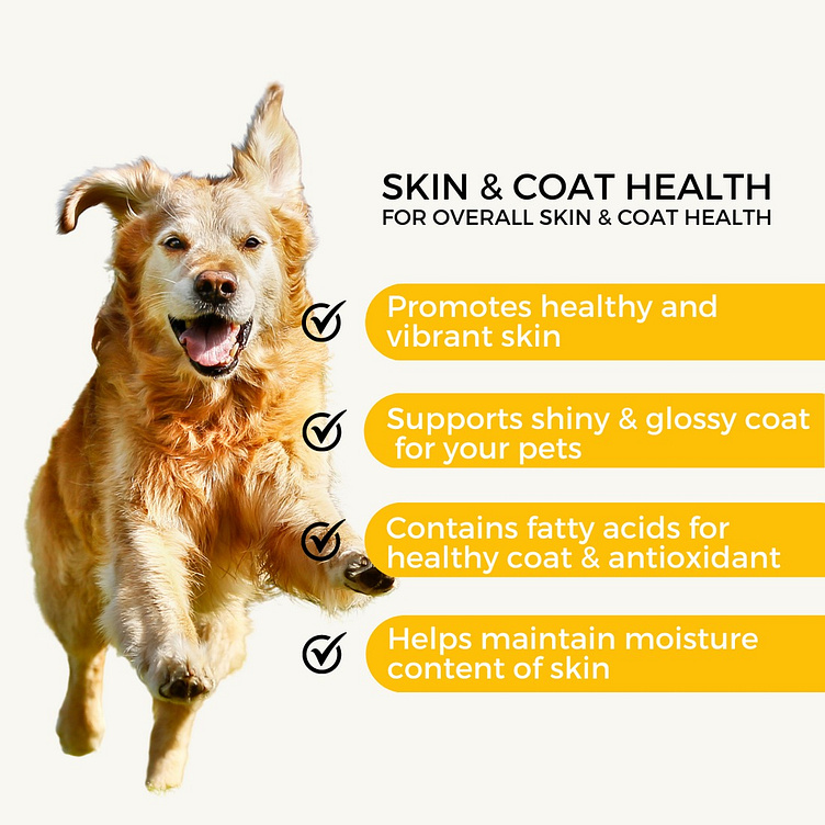 Skin and Coat Care Nourishing Your Dog from the Inside Out by Pet