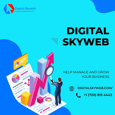 Digital Skyweb digital marketing seo service web design