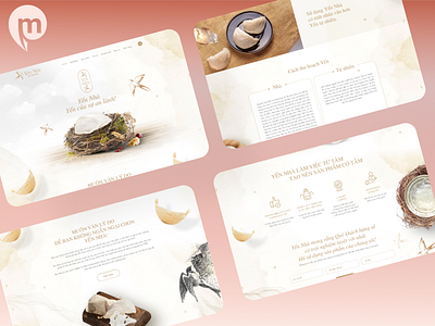 Bird'nest layout website branding design design a day graphic design logo maydesign thietkecotam ui ux uxui