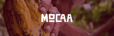 Mocaa Coffee + Cacao brand design brand strategy branding cafe chocolate coffee display graphic design illu illustration island logo