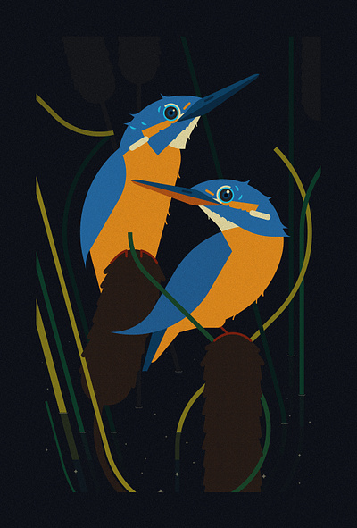 Kingfishers & Bulrush (2023) bird birds design floral illustration minimal illustration nature vector vector illustration wildlife