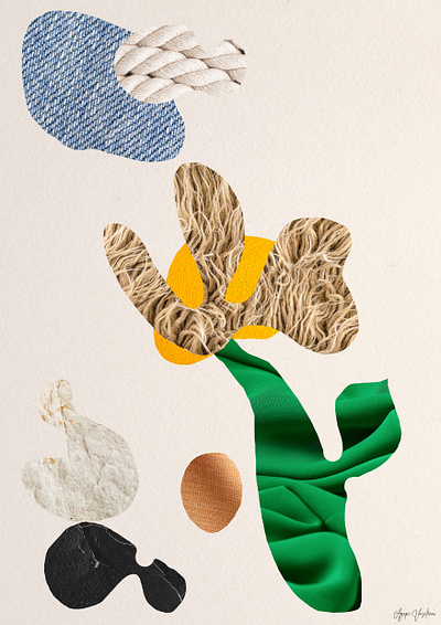 Desert Flower collage design graphic design illustration texture
