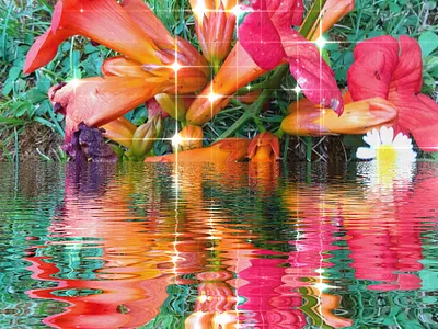 ArtAbstract with Flowers!!!!!! abstract abstractart art color artwork color colorgram digital creator flower flowers illustration logo