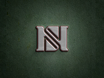 NS ambigram logo ambigram branding company company logo corporatedesign design illustration logo logodesign monogrampixel