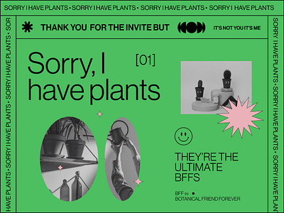 Sorry, I have plants (Tile 2) aesthetic agency branding color design development grand rapids illustration michigan palette plants retro ui ux visual design visual exploration webflow website