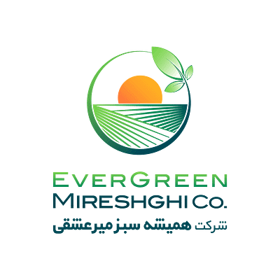 EverGreen branding graphic design logo
