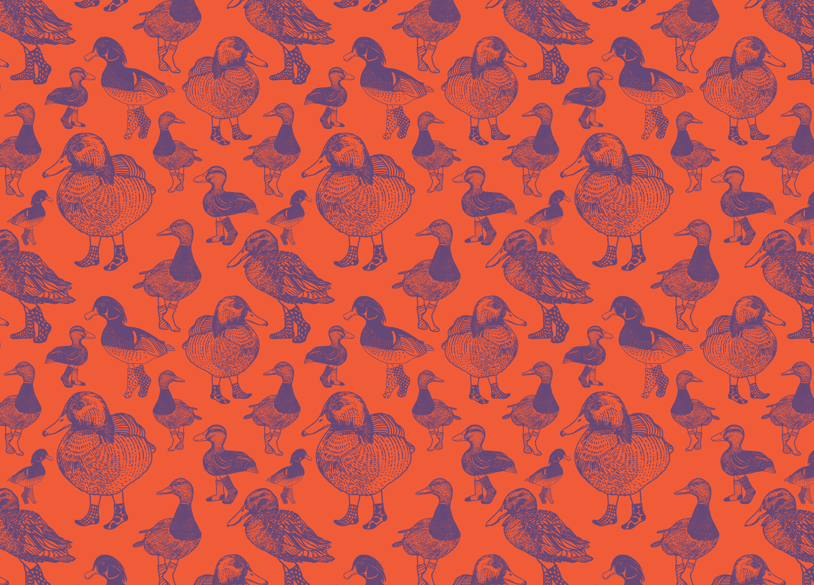 Odd Ones Sock Co. branding design graphic design hand lettering identity illustration logo pattern