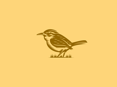 Carolina Wren bird design graphic design illustration nature vector wren