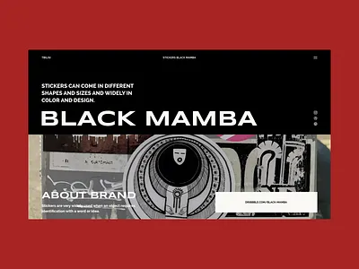 #3 blackmamba branding design graphic design ui web