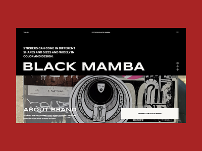 Ethno #1 blackmamba branding design graphic design ui web