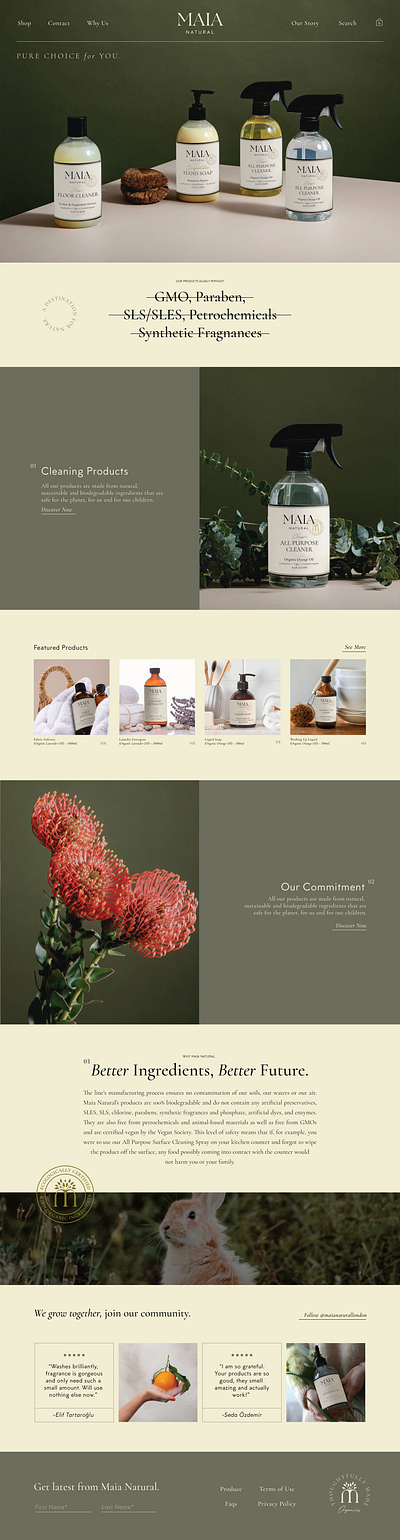 Maia Natural Landing Page cleaning brand design landing page natural ui web web design