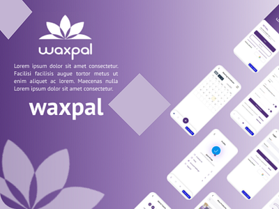 Waxpal figma mobile app ui ux web app web development