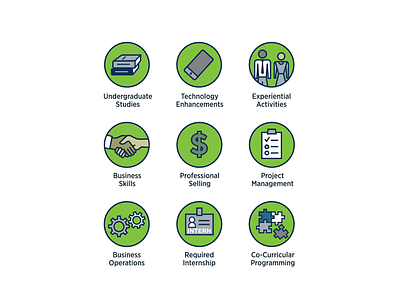 Series of Icons for a University Annual Report college marketing design graphic design iconography icons illustration university marketing vector
