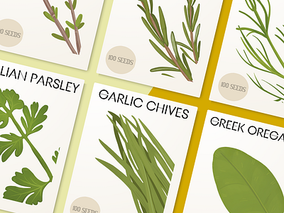 Herb Illustration - Seed Packet Mockup 👩‍🌾 branding clipart design food illustration gardening graphic design herb packets illustration watercolor graphics