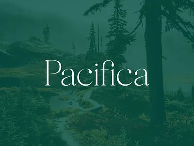 Pacifica Branding boutique brand brand identity branding canada design graphic design legal logo mediation typographic typography
