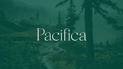 Pacifica Branding boutique brand brand identity branding canada design graphic design legal logo mediation typographic typography
