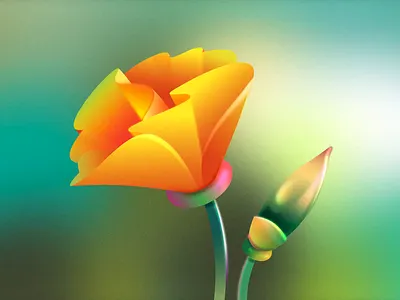 Beautiful Blossoms #1 2d 2danimation animation bloom california design flower illustration poppy rain spring thelittlelabs