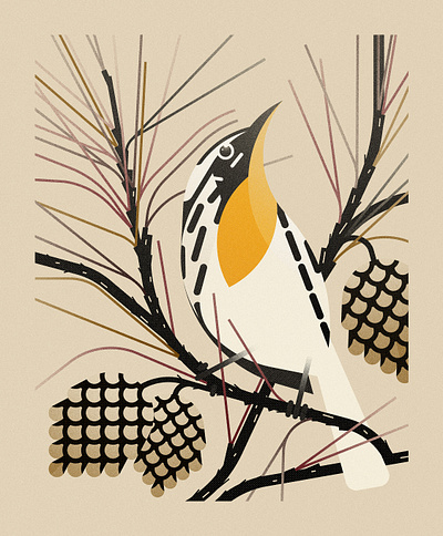 Yellow-throated Warbler in Pine (2023) bird illustration birds botanical botanical illustration design floral graphic design illustration minimal minimal illustration nature vector vector illustration wildlife