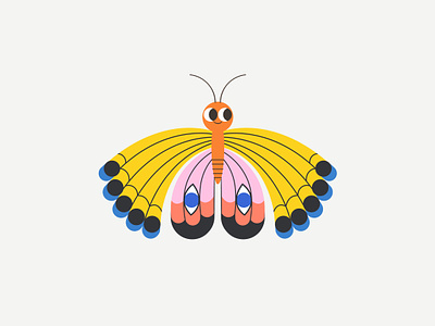 Butterfly for children app art butterflies butterfly character design colors cute design digital art illustration insect vector