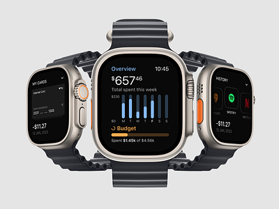 Expense Tracker for Apple Watch analytics apple apple watch apple watch ultra budget cards ui credit card design expense tracker finance graphs ios smart watch smart watch expense tracker smart watch ui tracker ui ui design ux watch ui