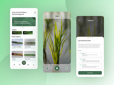 Rice Leaf Disease Detector App design mobile app plant app plant detector app ui ux