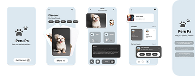 Peru Pa , UI Design