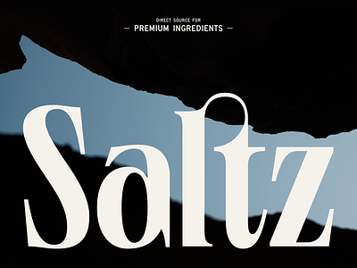 Saltz Wordmark branding design graphic design identity illustration logo minimal outer studio typography