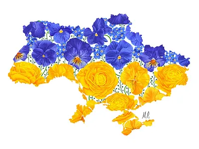 Little Part Of My Stand With Ukraine project 2d adobe illustrator botanical botanical illustration digitalart floral flowers forget me not hand drawn illustration map pansies pattern realistic realistic flowers stand with ukraine ukraine vector war wildflowers