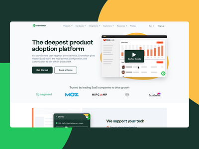 🦎 Chameleon.io Homepage Brand Refresh ui ux web design