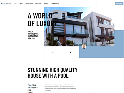 Luxury Real Estate agents customizations design elementor investors landing page lisitng modern design properties real estate ui ux website wordpress