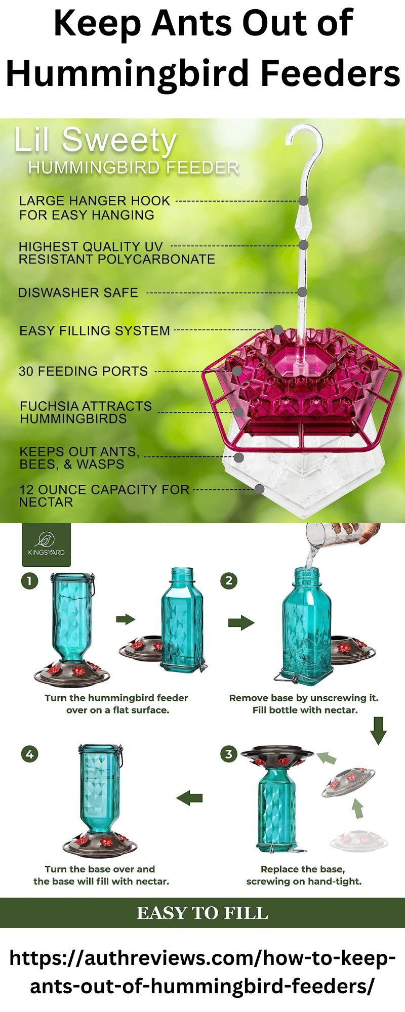 Keep Ants Out of Hummingbird Feeders AuthReviews by johnson william on