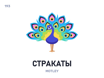 Стракáты / Motley belarus belarusian language daily flat icon illustration vector