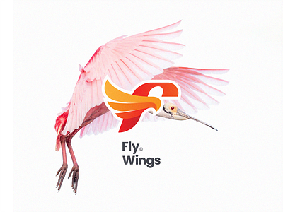Fly Wings - F Letter abstract animal branding colorful design f gradient illustration logo modern orange red simple wings
