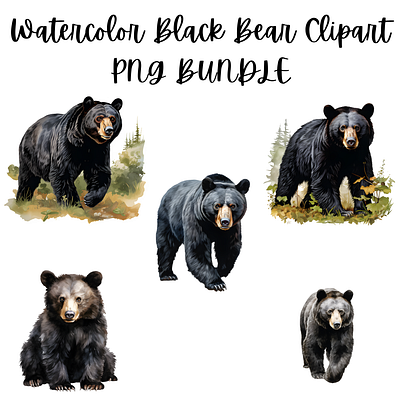 Watercolor Black Bear Clipart PNG Bundle black bear clipart design graphic design illustration png transparent background