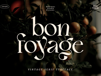 Bon Foyage - Vintage Modern Serif
