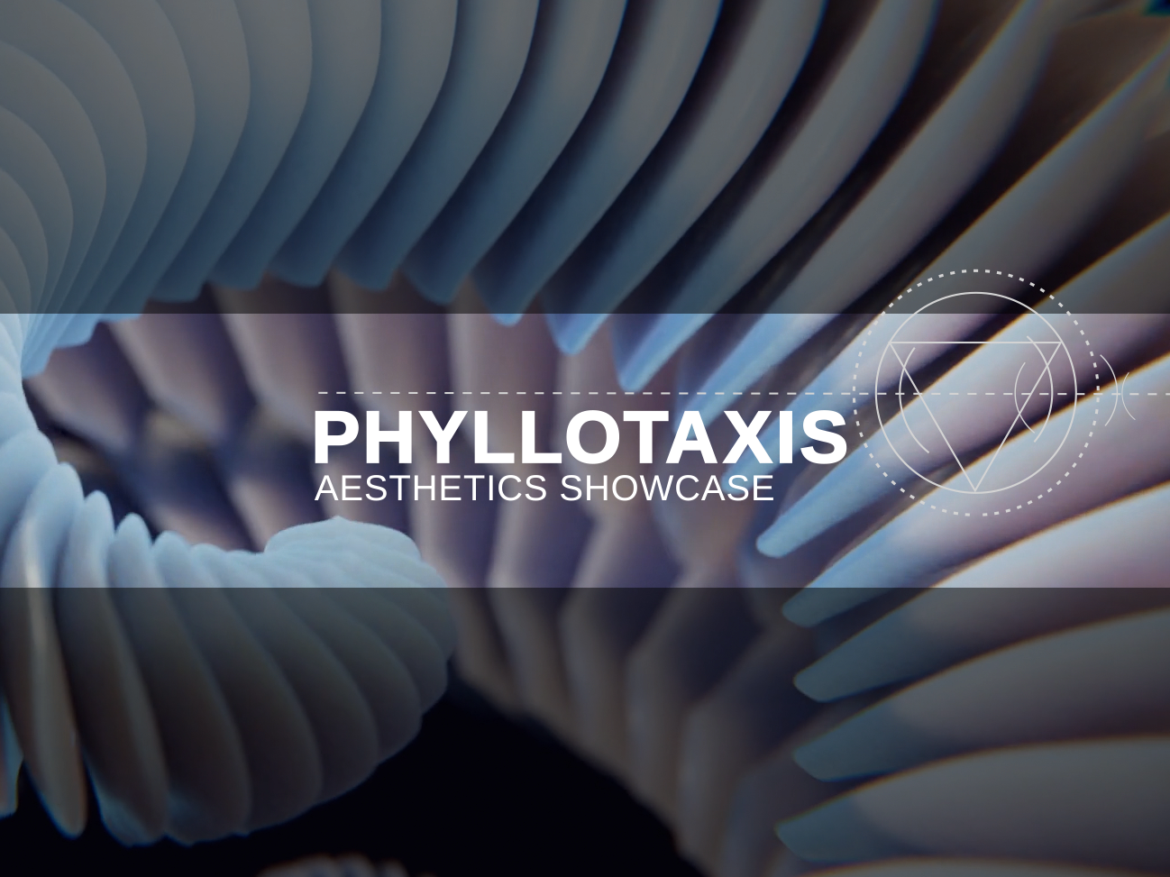 Phyllotaxis Showcase 3d animation motion graphics