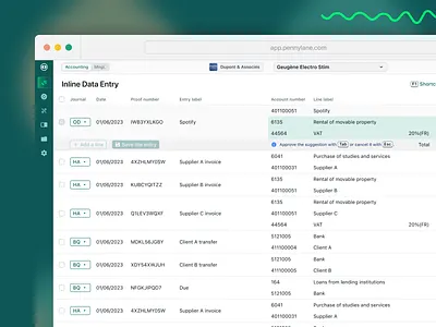 Boosting Efficiency for Accountants: Inline Data Entry accounting automation bulkaction design lines select shortcuts table