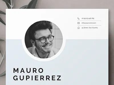 4 Page Resume Set resume clean