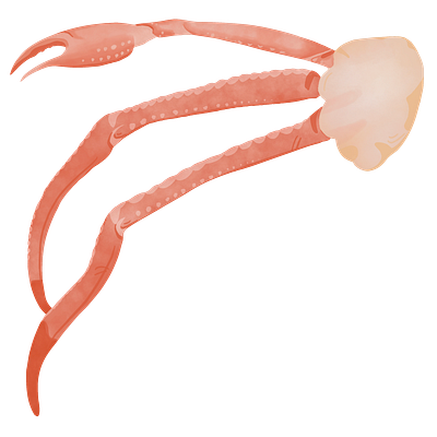 Crab Legs Digital Watercolor Illustration clipart food illustration graphic design illustration raster seafood watercolor graphics