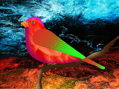Bird Illustration 1 design graphic design illustration vector